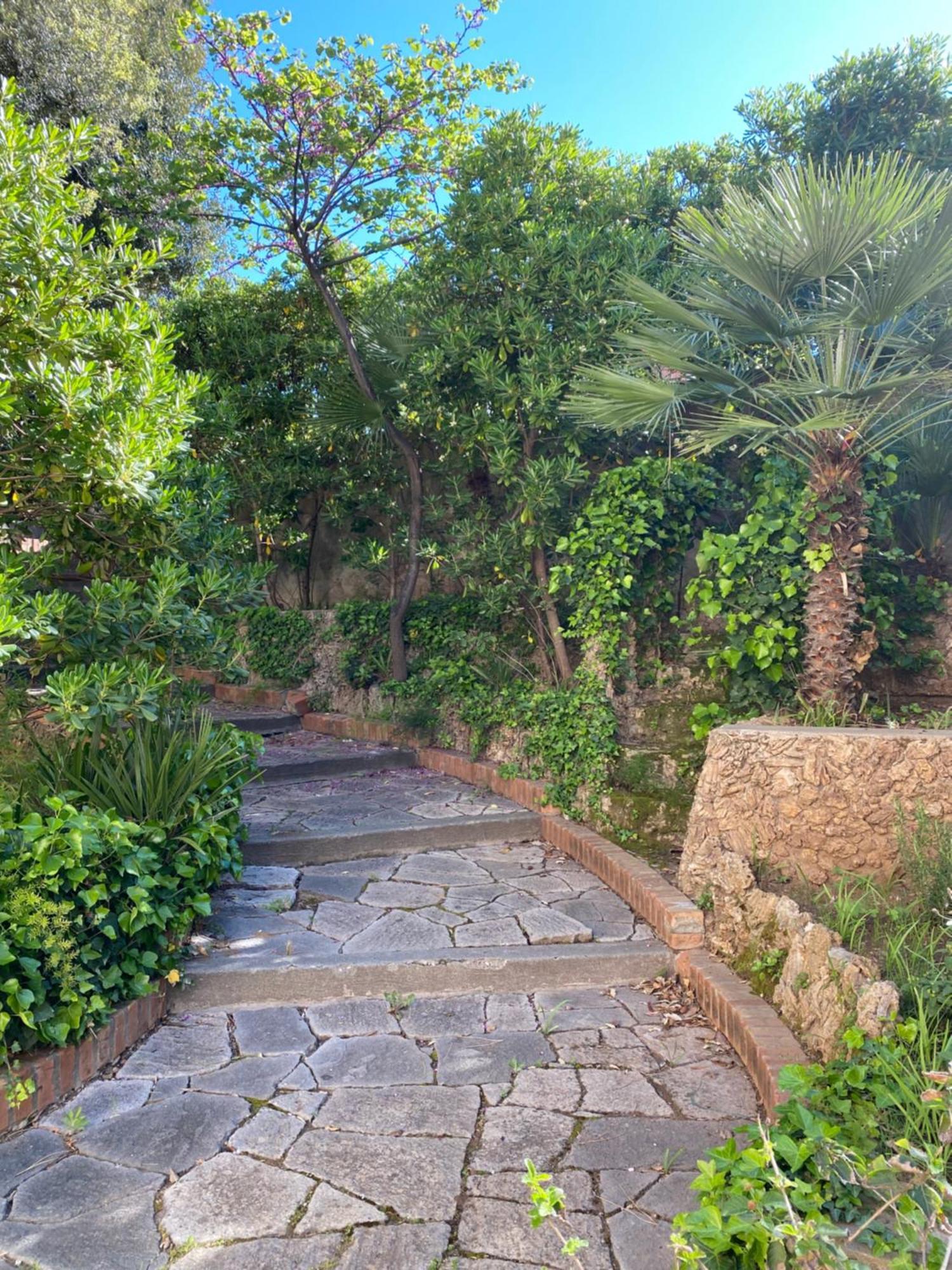 Villa Il Boschetto San Vincenzo Ngoại thất bức ảnh