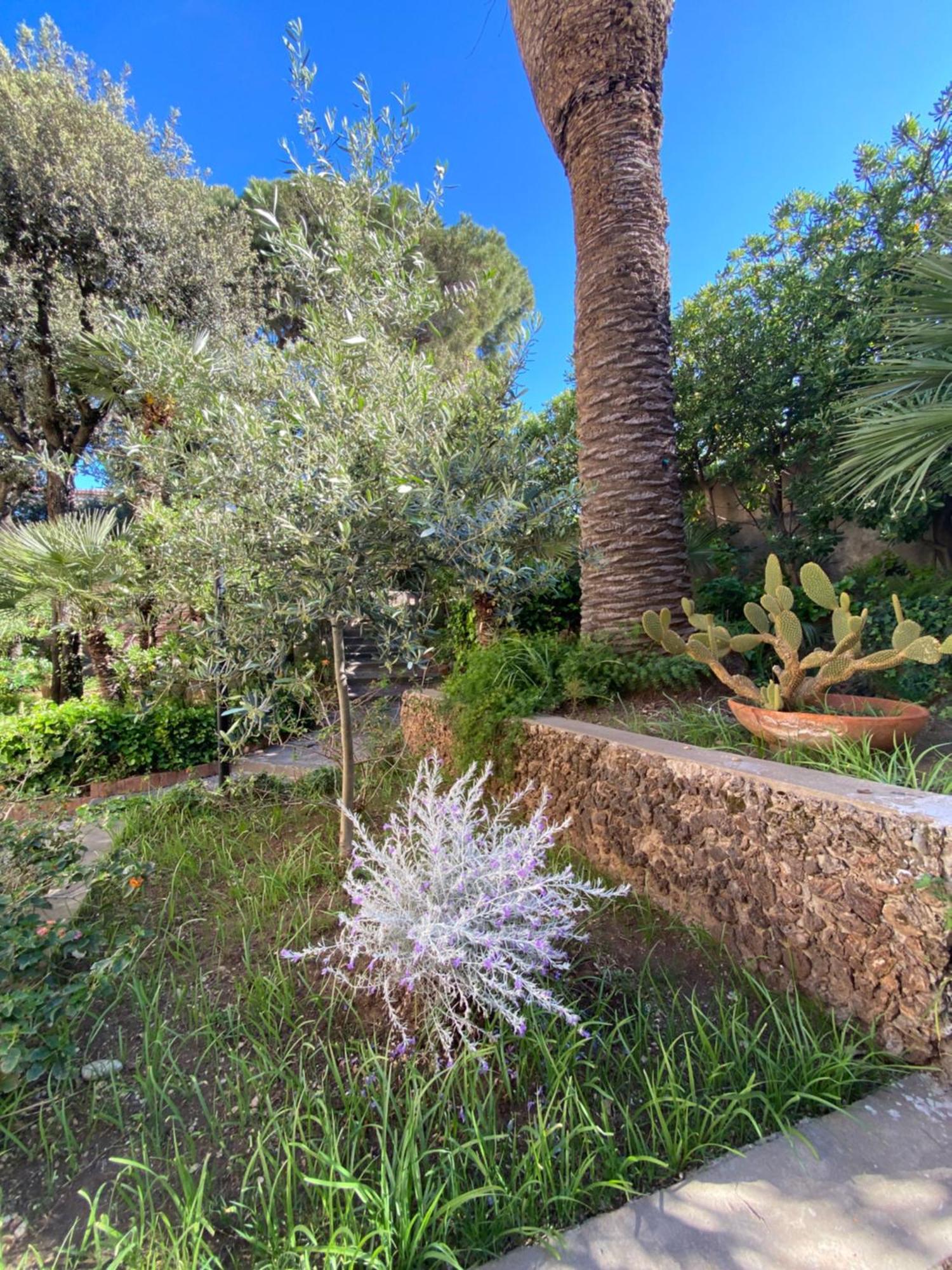 Villa Il Boschetto San Vincenzo Ngoại thất bức ảnh